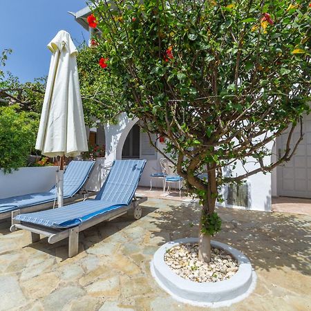 Villa Arni Andros - Βίλα Αρνη Batsíon Exteriér fotografie
