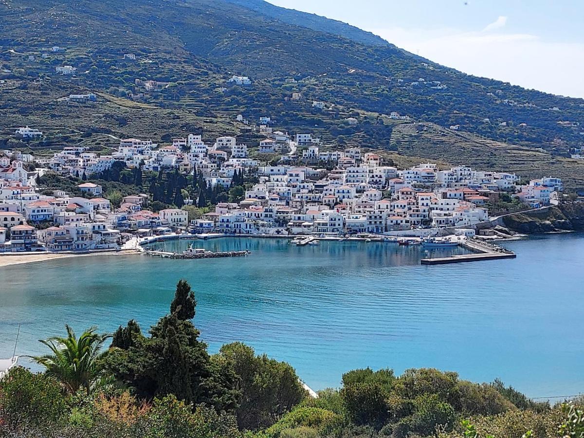 Villa Arni Andros - Βίλα Αρνη Batsíon Exteriér fotografie