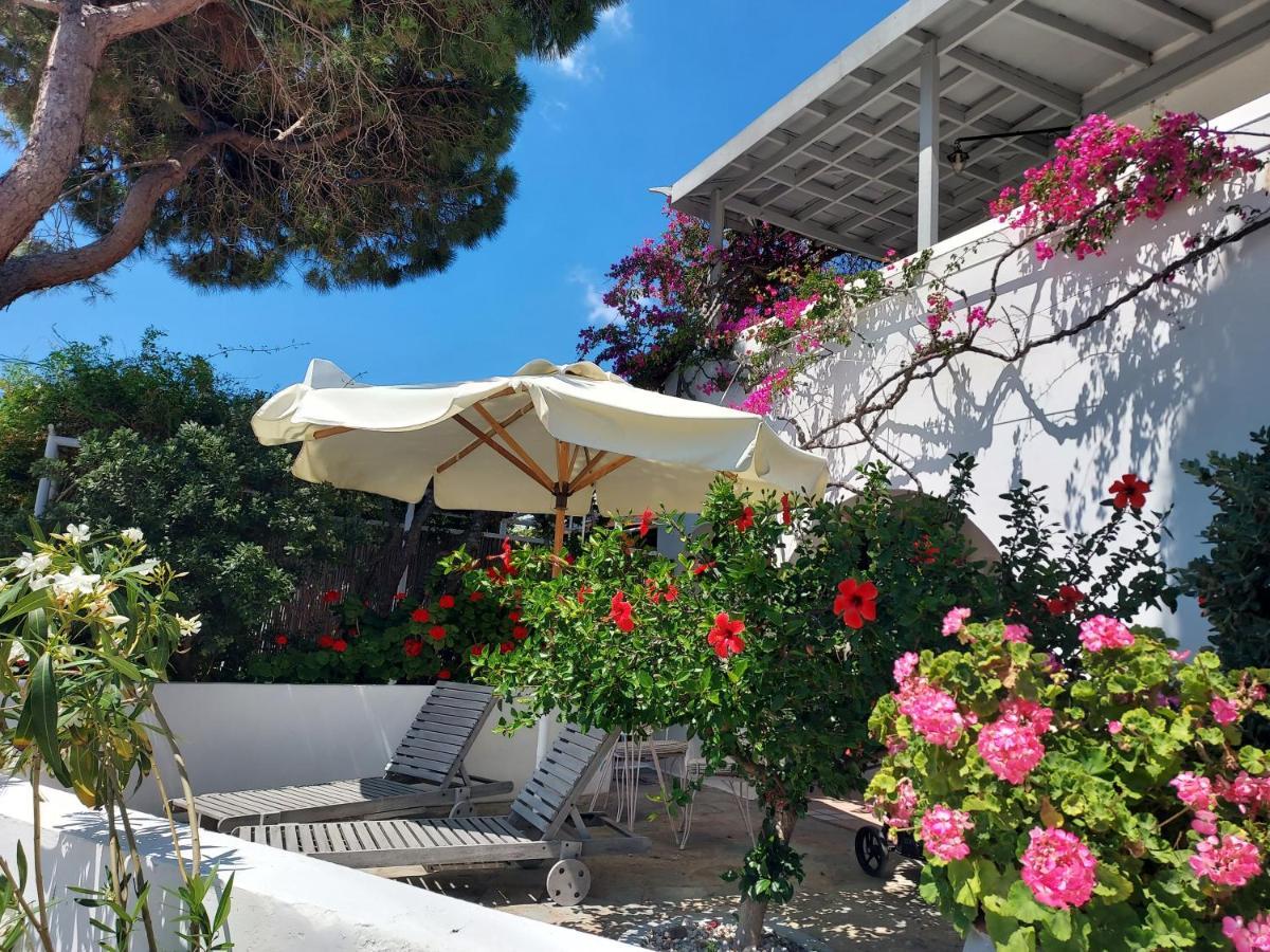 Villa Arni Andros - Βίλα Αρνη Batsíon Exteriér fotografie