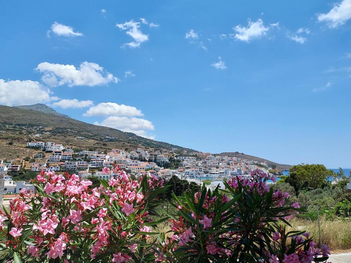Villa Arni Andros - Βίλα Αρνη Batsíon Exteriér fotografie