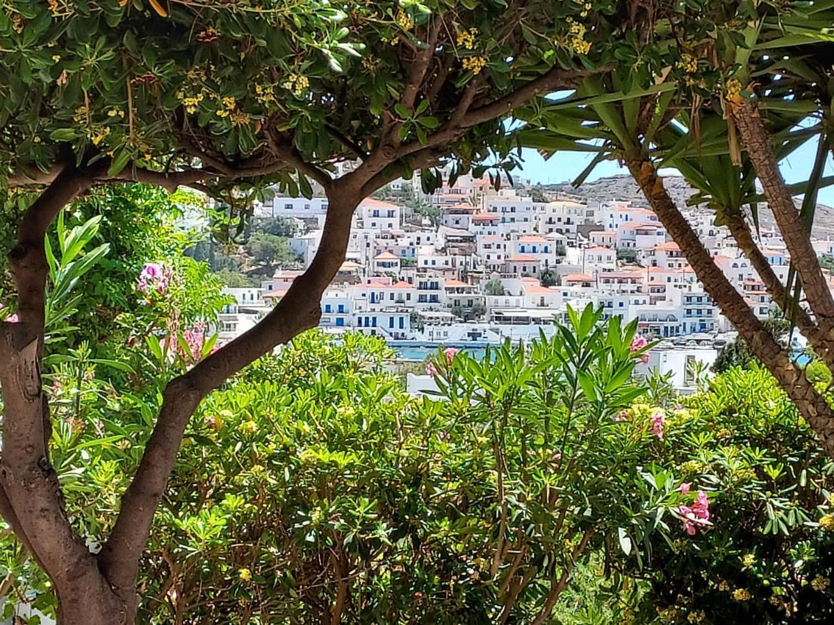 Villa Arni Andros - Βίλα Αρνη Batsíon Exteriér fotografie