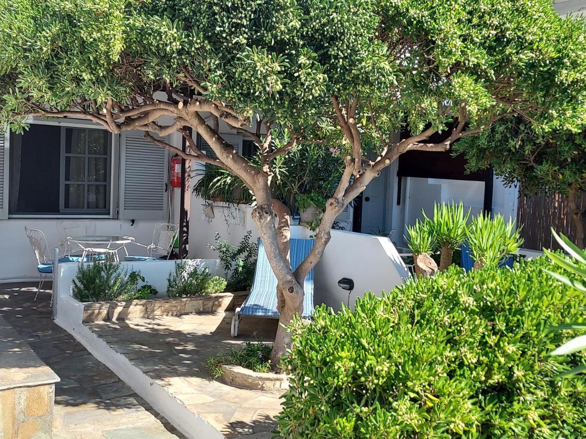 Villa Arni Andros - Βίλα Αρνη Batsíon Exteriér fotografie