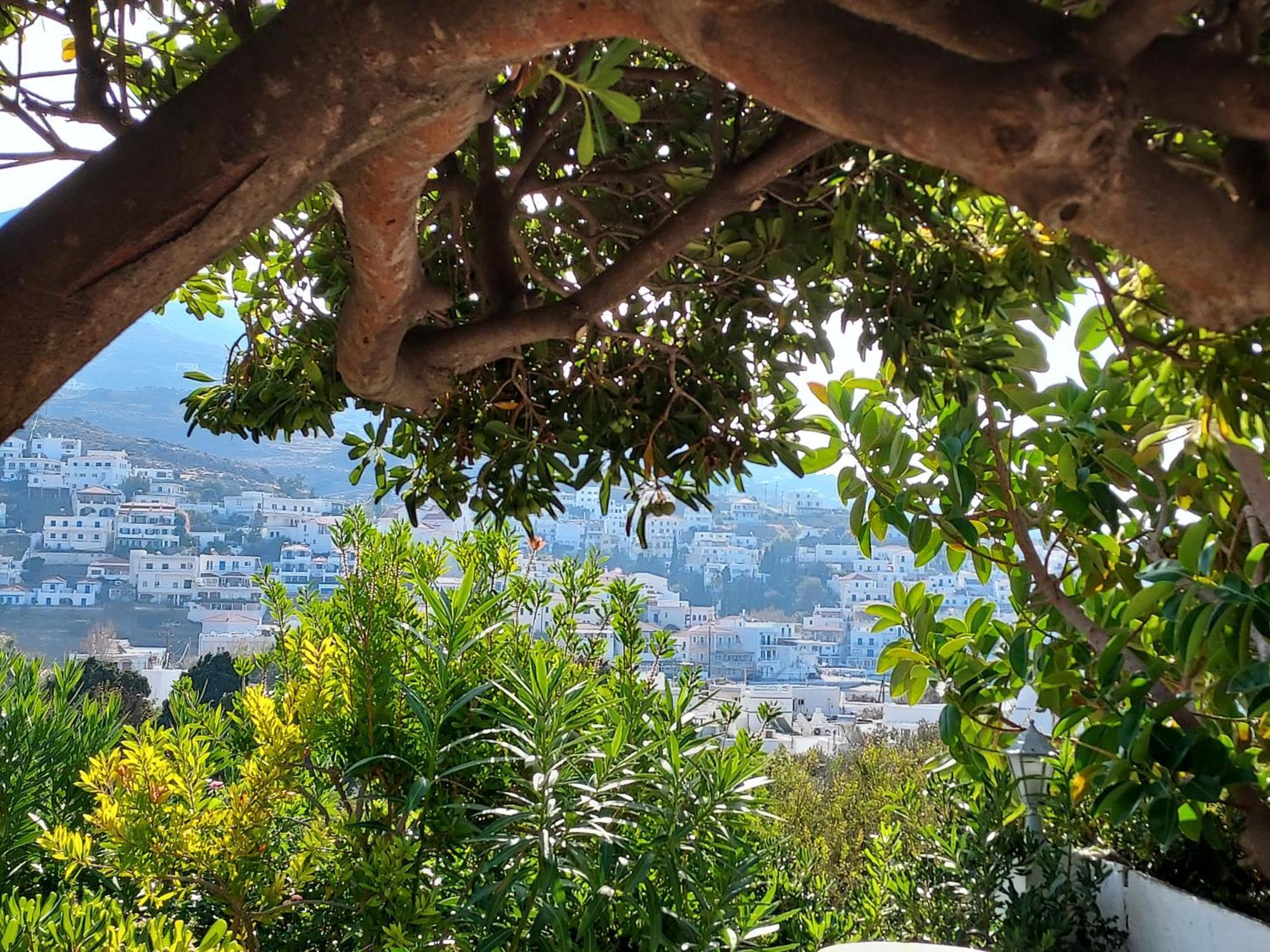 Villa Arni Andros - Βίλα Αρνη Batsíon Pokoj fotografie