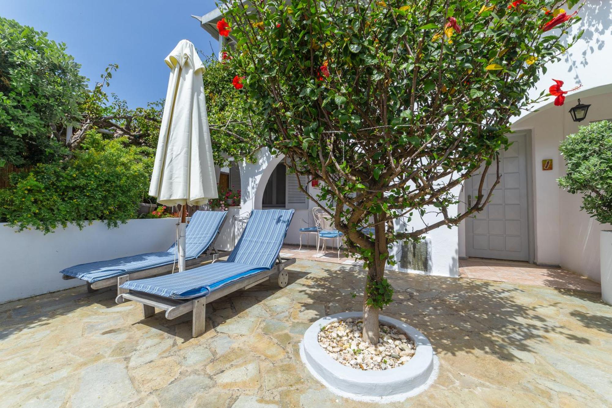 Villa Arni Andros - Βίλα Αρνη Batsíon Exteriér fotografie