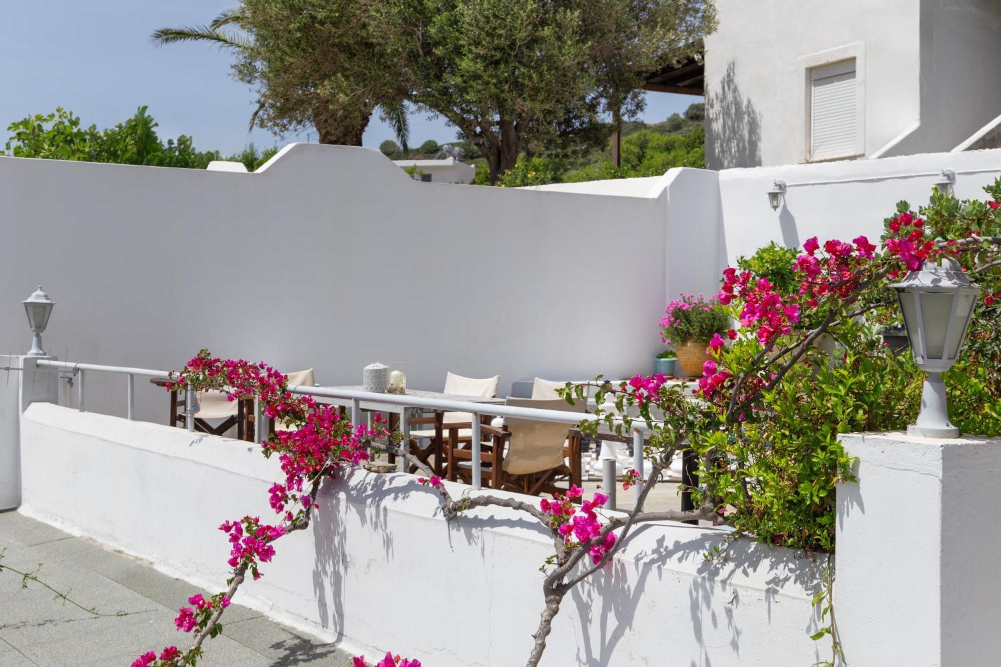 Villa Arni Andros - Βίλα Αρνη Batsíon Exteriér fotografie