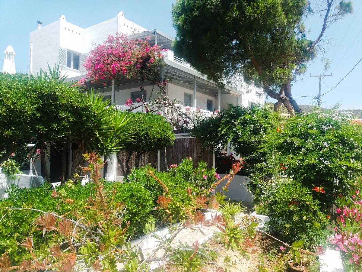Villa Arni Andros - Βίλα Αρνη Batsíon Exteriér fotografie